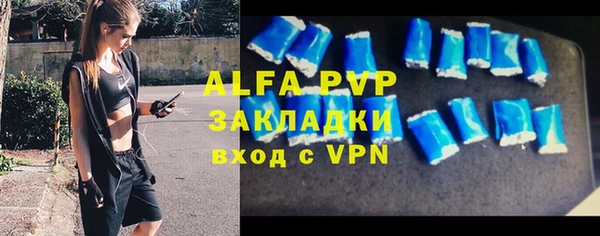 стаф Нефтекумск