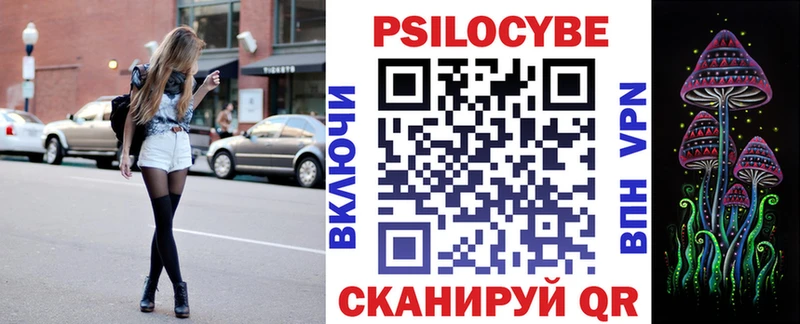 Купить закладки  Багратионовск  Псилоцибиновые грибы ЛСД 
